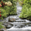 floyd_941
