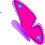 queenbutterfly
